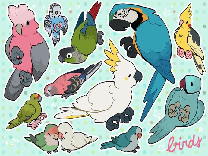 Попугай арты