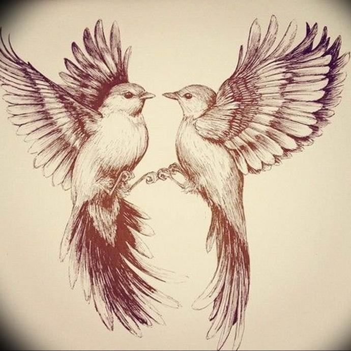 Птица эскиз