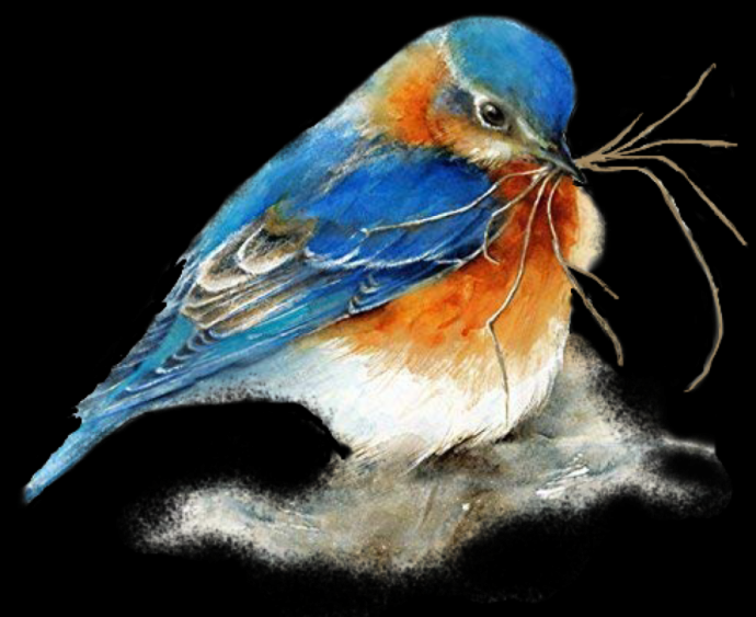 Акварельный скетчинг птицы