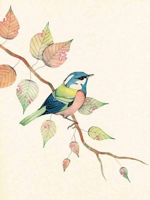 Нарисовать птицу