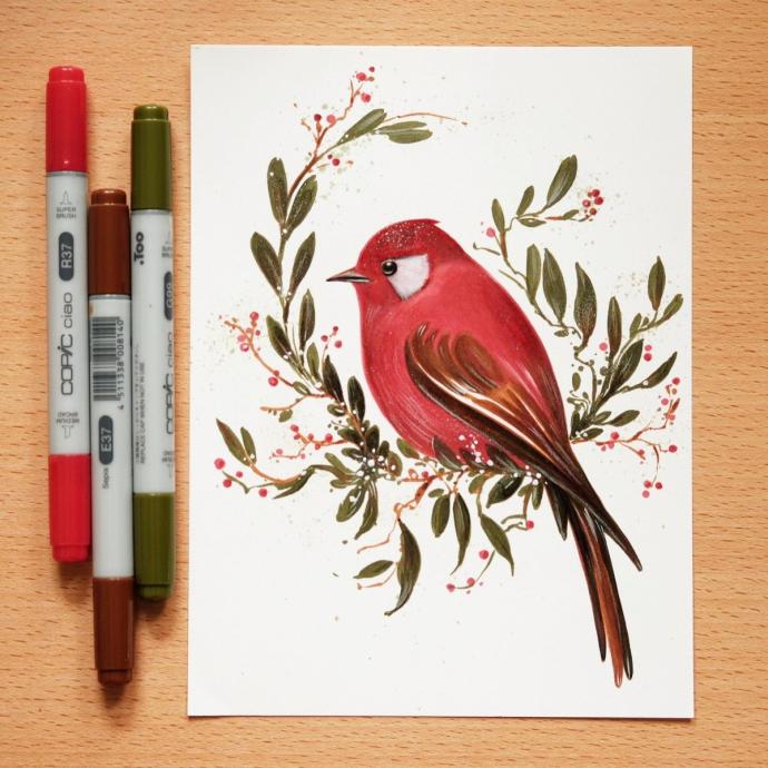 Птицы фломастерами