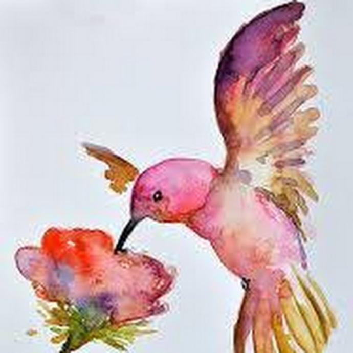 Экзотические птицы акварель