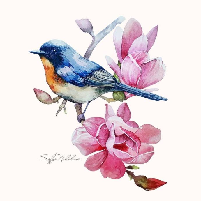 Птицы на ветке акварель