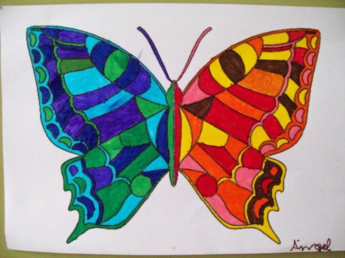 Бабочка холодными и теплыми цветами