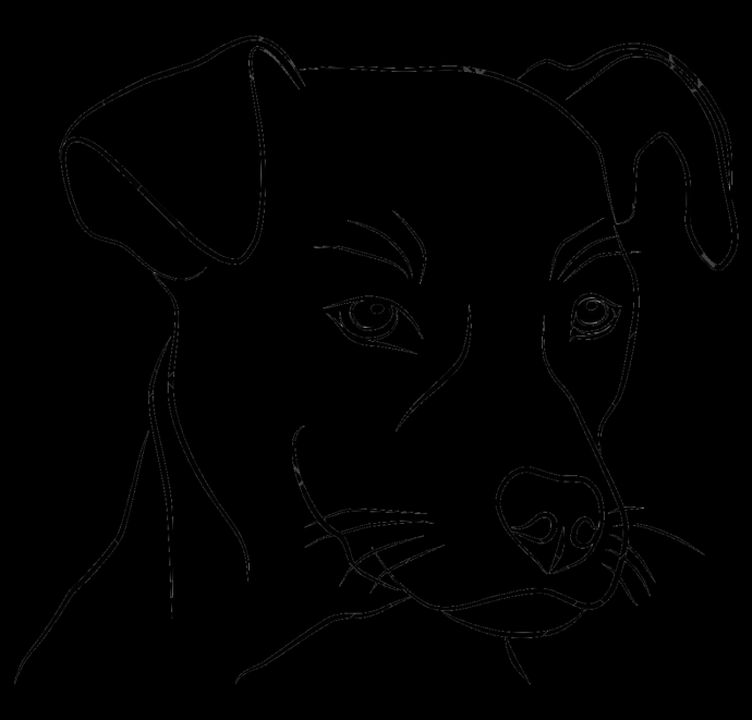 Эскиз тату собака боксер