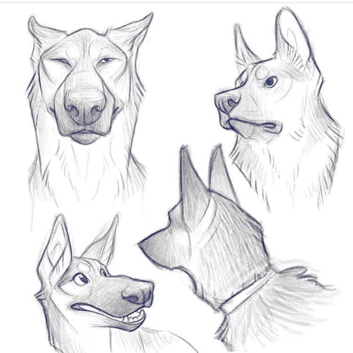 Лицо собачки вектор