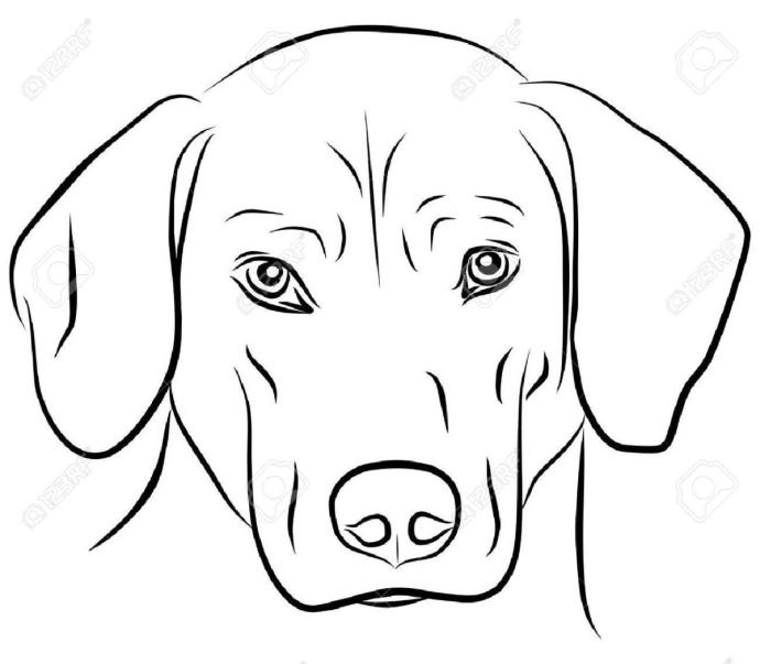 Рисовать лицо собаки