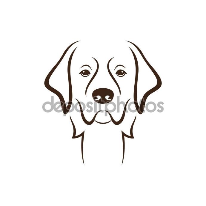 Схема рисования лица собаки