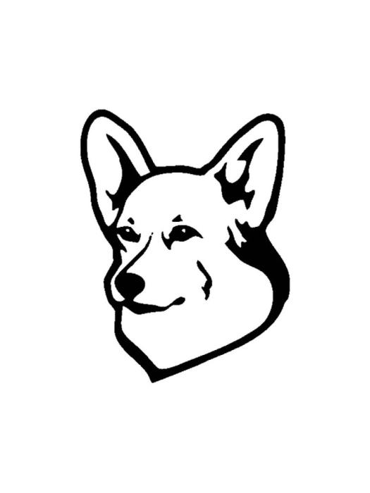 Собака туториал