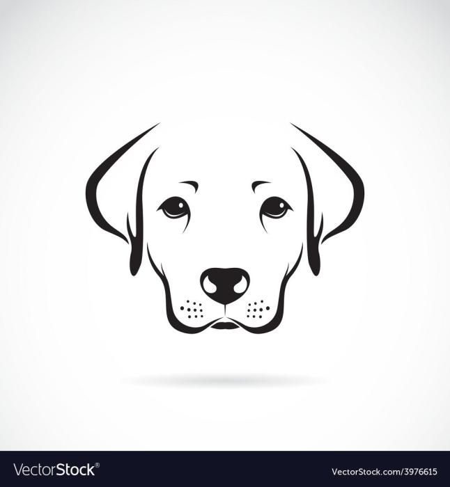 Рисунок карандашом морда собаки