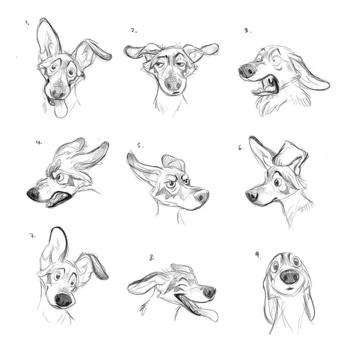 Рисунок овчарки спереди