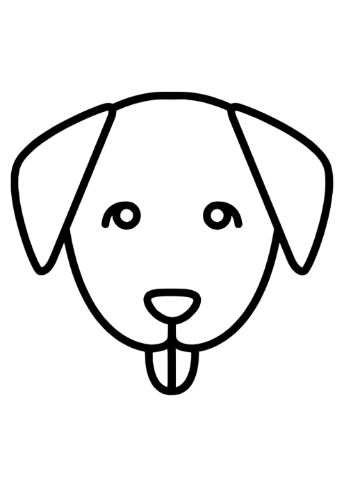 Бигль анатомия