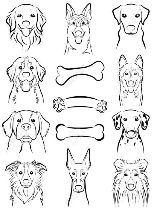 Голова овчарки раскраска