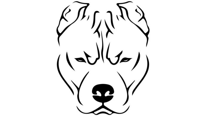 Поэтапное рисование морды волка