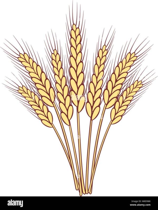 Сноп колосьев с лентой