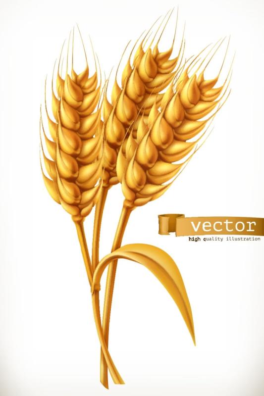 Колоски наклейка