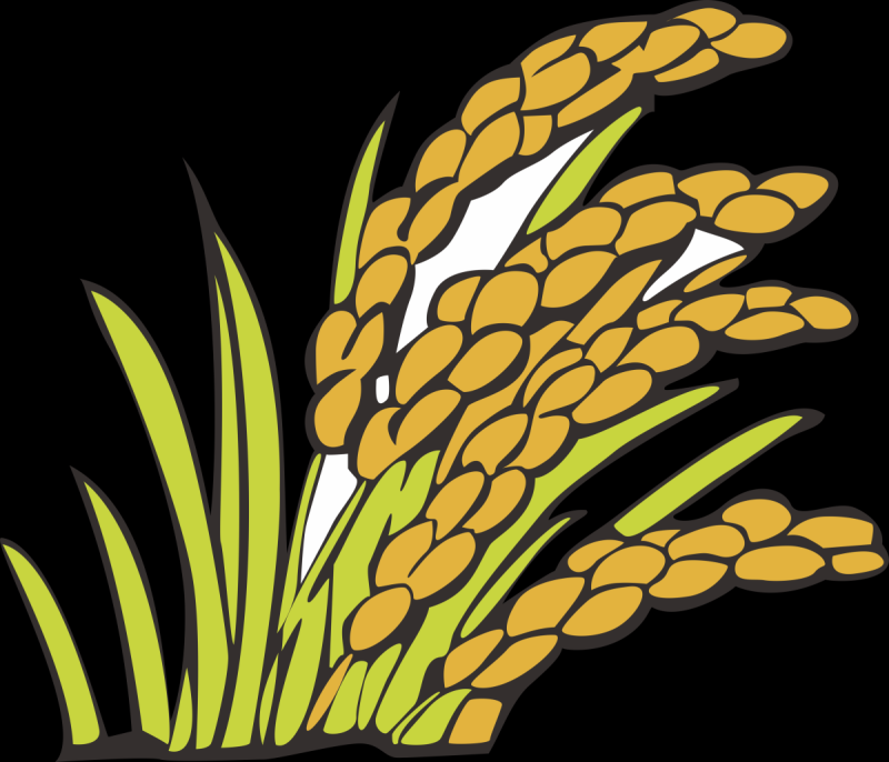 Колосок пшеницы рисунок