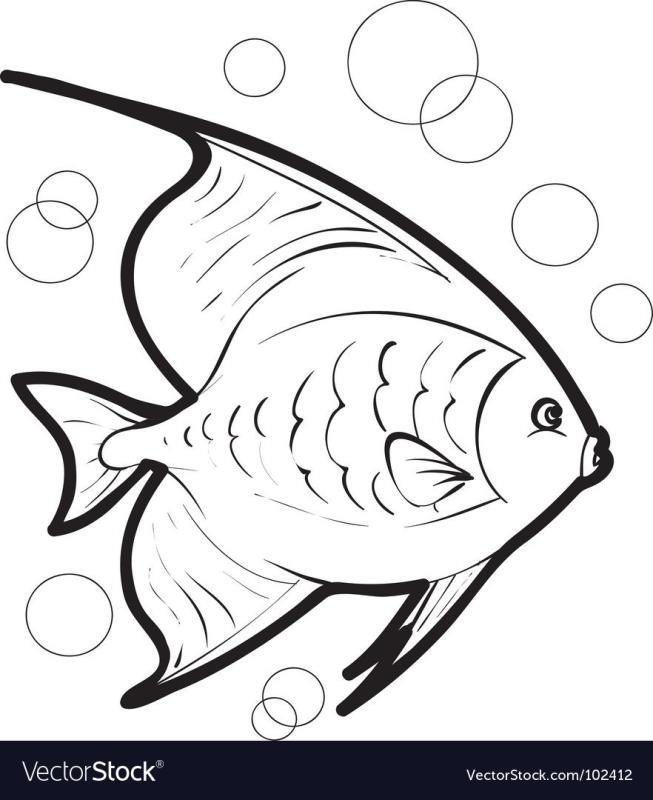 Черно белые аквариумные рыбки