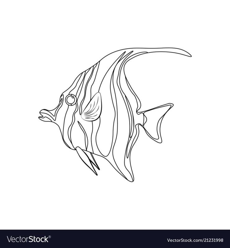 Раскраска мавританский идол рыба