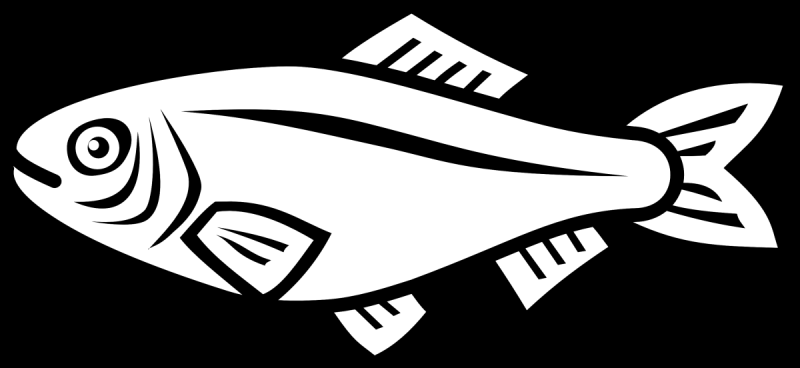 Силуэт рыбы