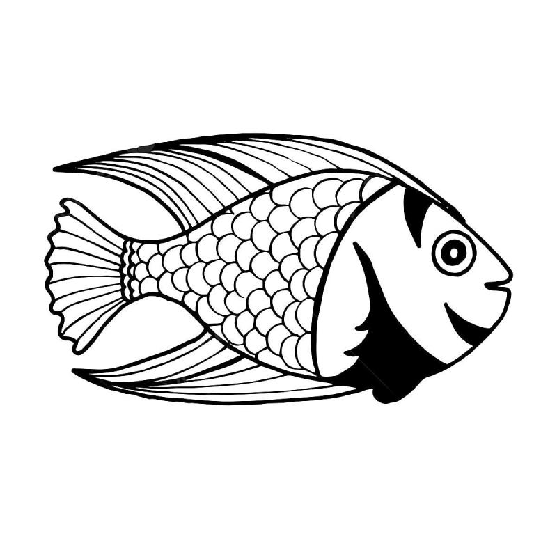 Рыба черно белая