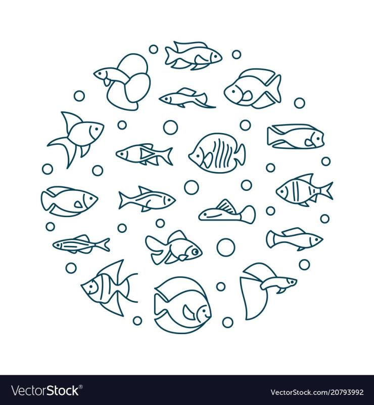 Аквариумные рыбки вектор