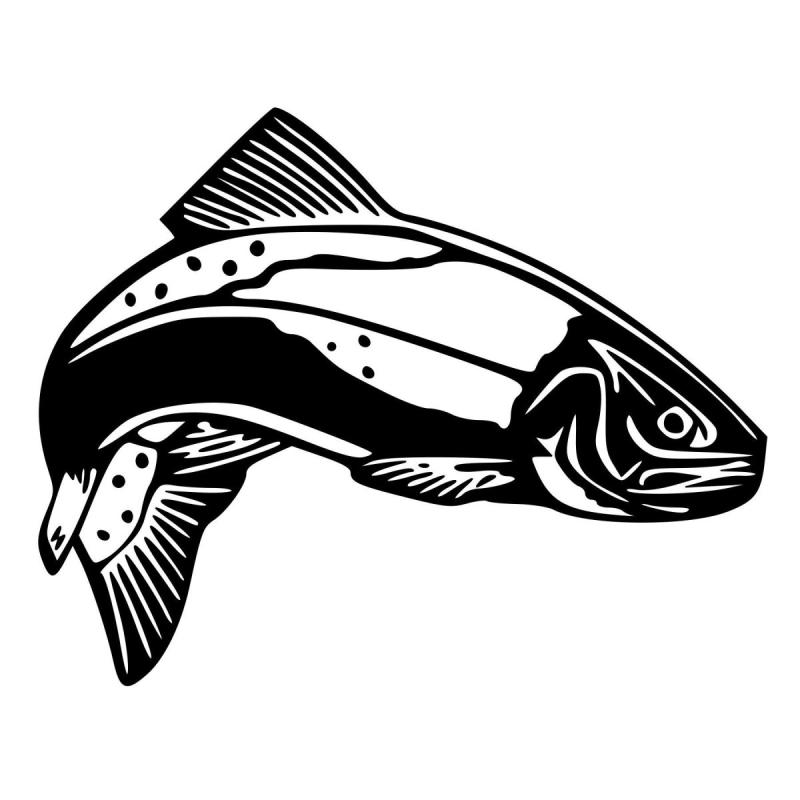 Лосось Графика