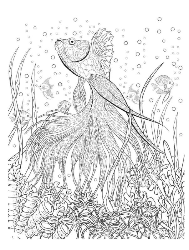 Раскраска антистресс рыбы