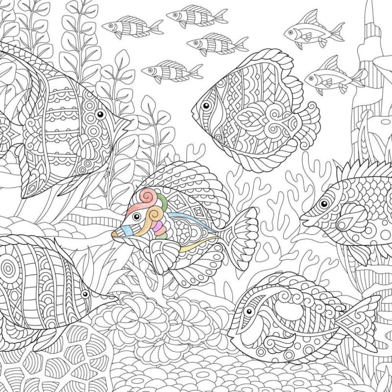 Раскраска "подводный мир"