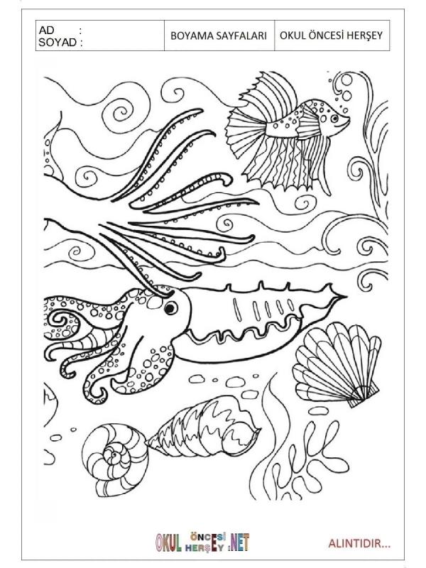 Раскраска морская тематика для детей