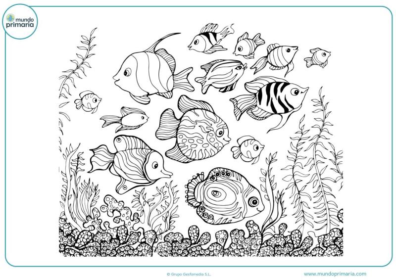 Раскраски подводный мир рыбы
