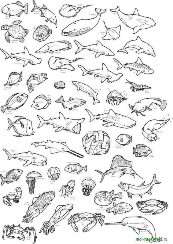 Рыба раскраска
