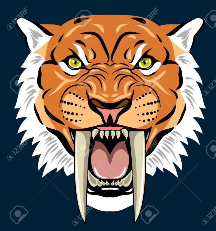 Голова тигра вектор чб