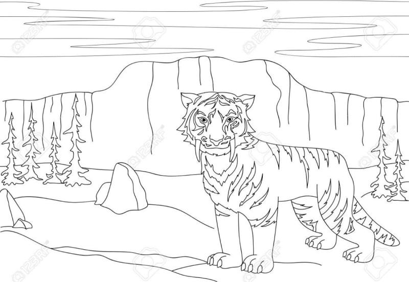 Хищные животные раскраска