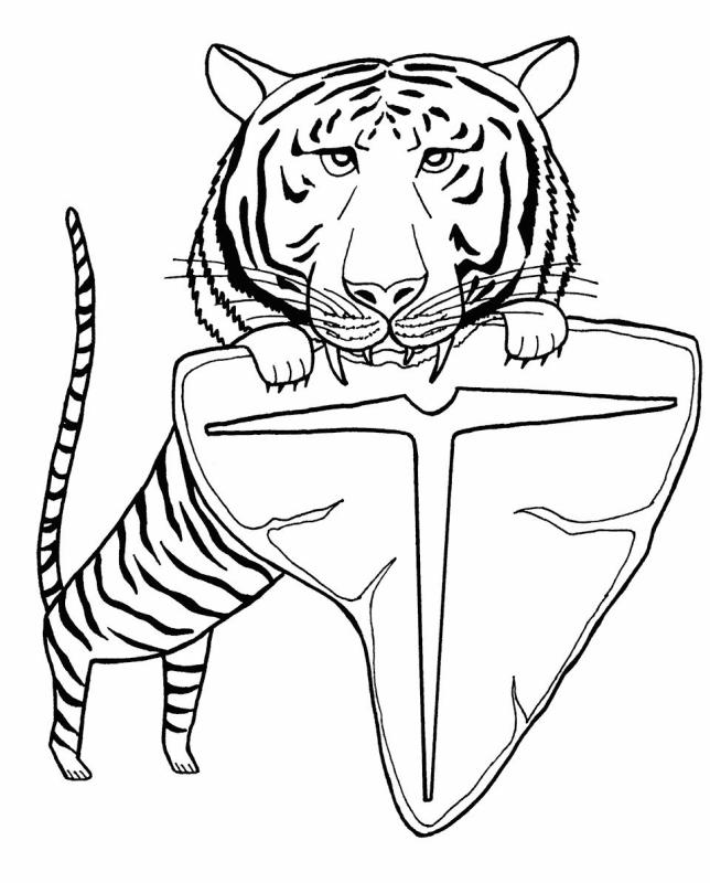 Тигр. Раскраска