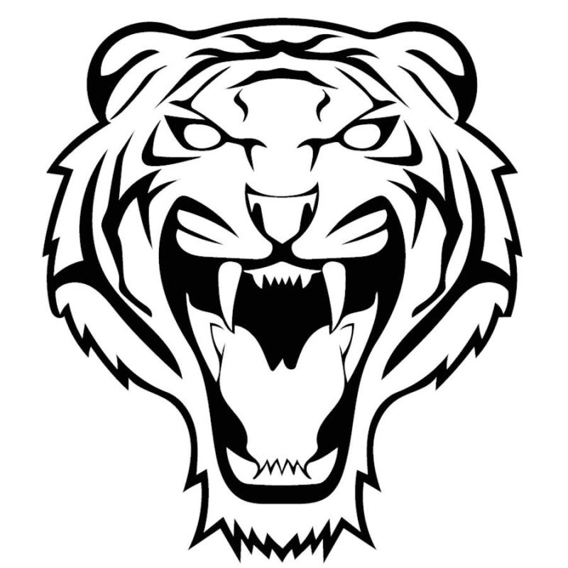 Тигр с клыками вектор