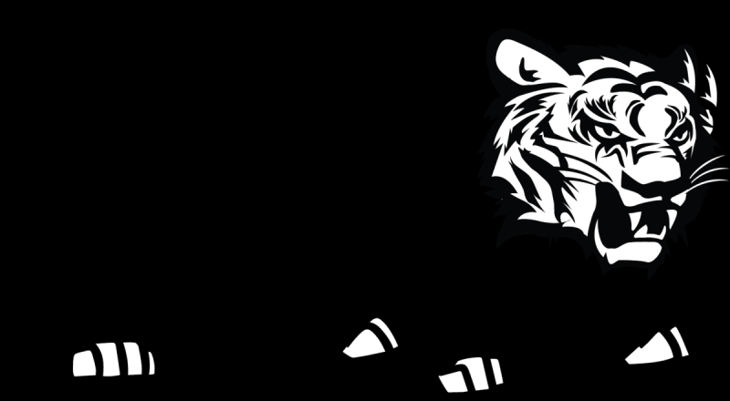 Амурский тигр раскраска