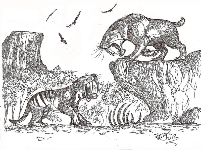 Саблезубый тигр голова