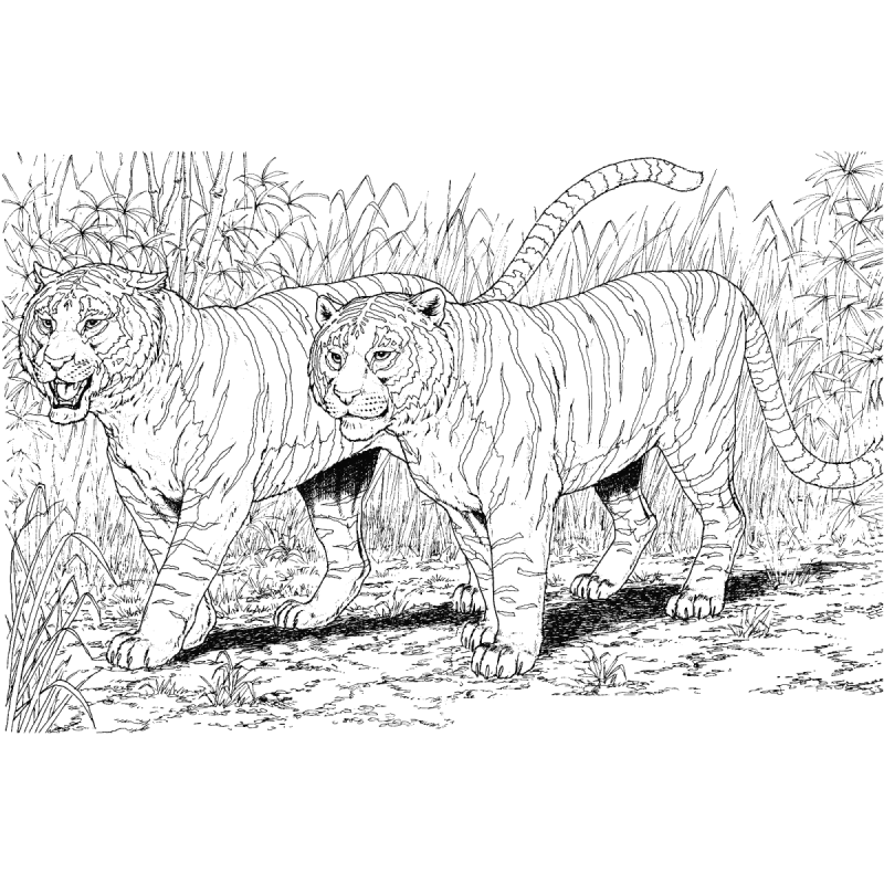 Ледниковый период тигр Диего мамонт Мэнни