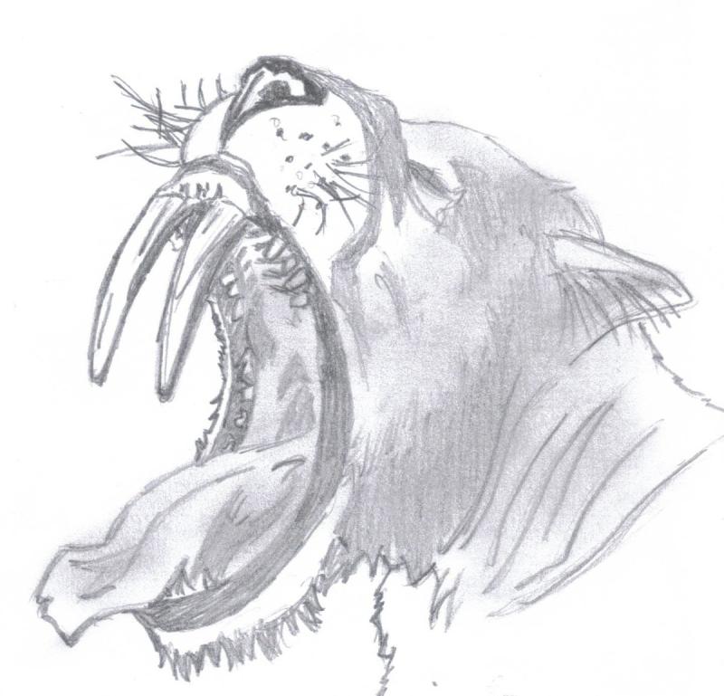 Раскраска тигра