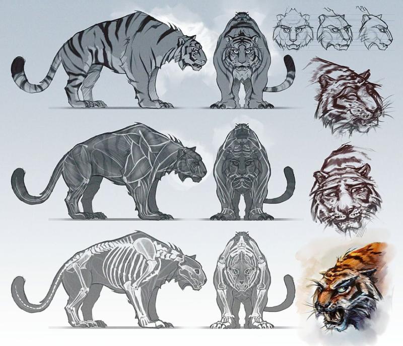 Саблезубый тигр раскраска70