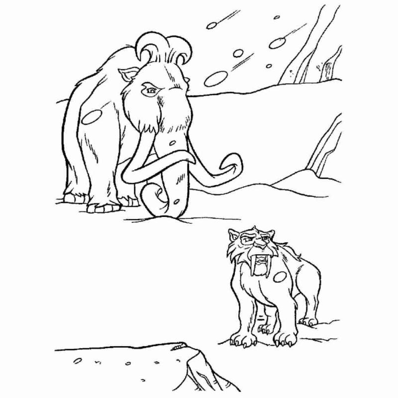 Тигр сбоку референс