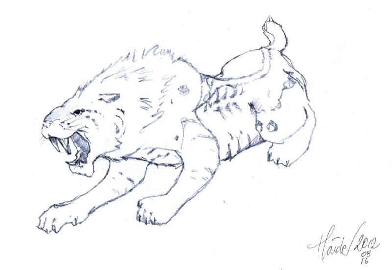 Раскраска для мальчиков тигра Саблезубого