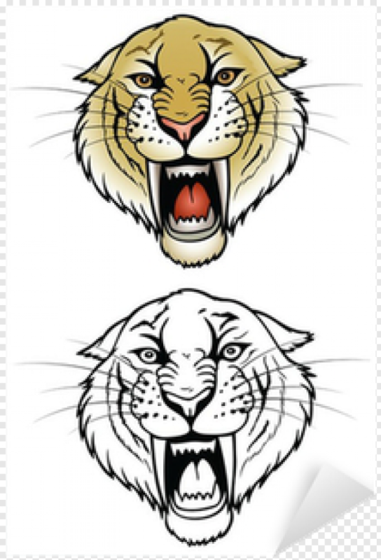 Тигр. Раскраска