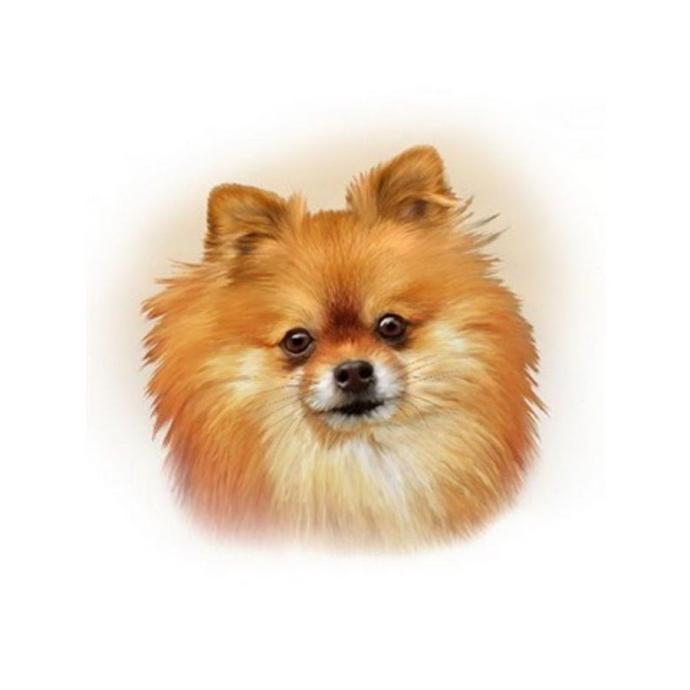 Шпиц мультяшный