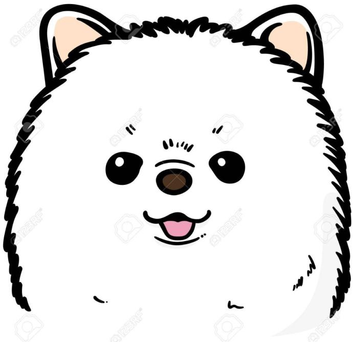 Шпиц милый карандашом