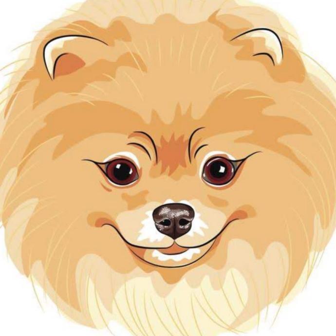 Шпиц мультяшный