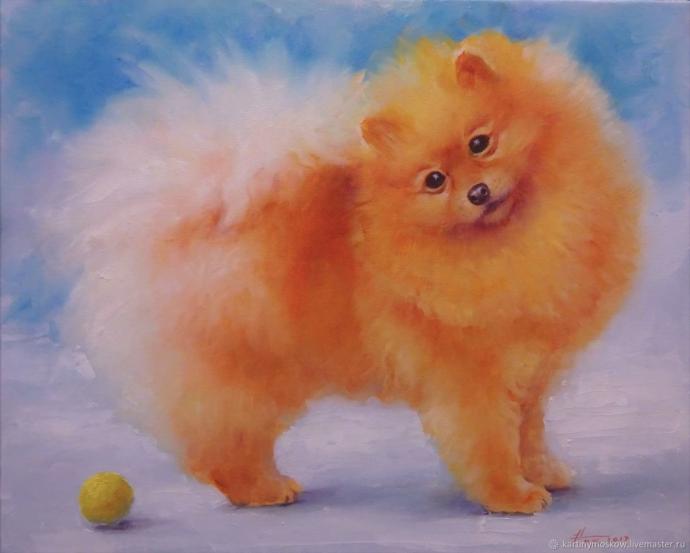 Померанский шпиц акварелью