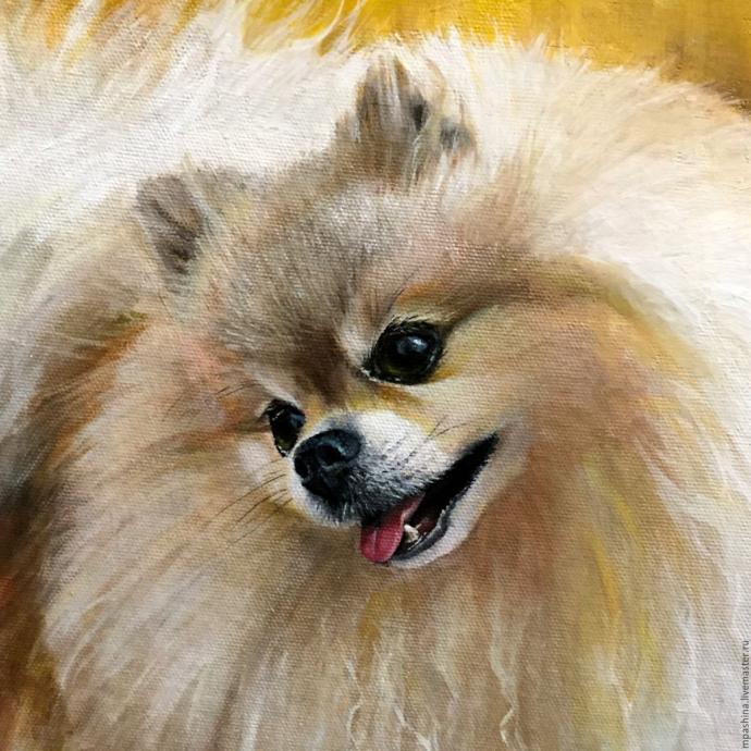 Шпиц померанский Art