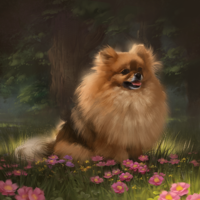 Алмазная живопись шпиц